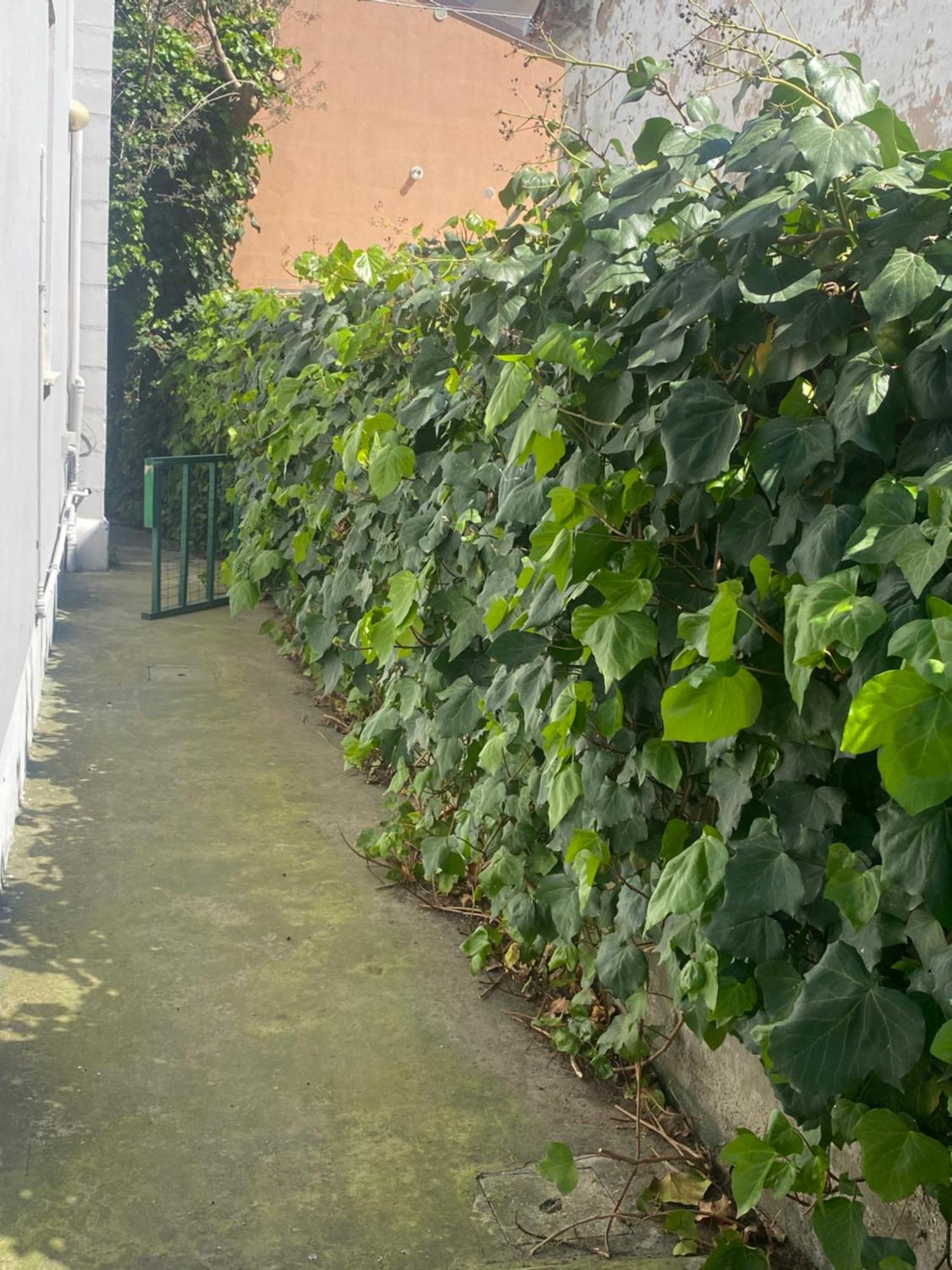 Casa Elisa 8 Βίλα Μπελάρια-Ιτζέα Μαρίνα Εξωτερικό φωτογραφία